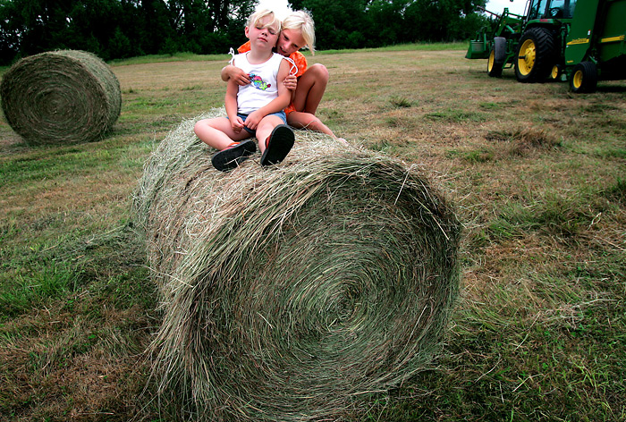 Hay Bale